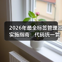 2026年最全标签管理器实施指南：代码统一管理的秘密武器（图2）