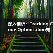 深入剖析：Tracking Code Optimization如何影响网站性能与转化（图4）