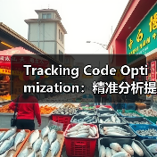 Tracking Code Optimization：精准分析提升网站性能的秘密武器（图3）