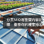 分页SEO与重复内容处理：重塑你的搜索排名新战场（图3）