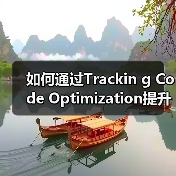 如何通过Trackin g Code Optimization提升网站表现和分析效率（图3）