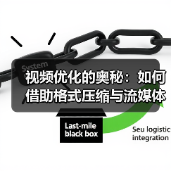 视频优化的奥秘：如何借助格式压缩与流媒体传输实现极致体验（图1）