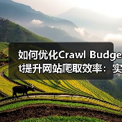 如何优化Crawl Budget提升网站爬取效率：实战指南（图4）
