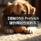 【揭秘DNS Prefetch：提升网站性能的不二法门】（图1）