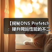 【揭秘DNS Prefetch：提升网站性能的不二法门】（图4）