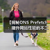 【揭秘DNS Prefetch：提升网站性能的不二法门】（图2）