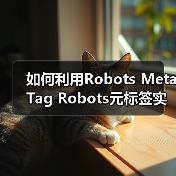 如何利用Robots Meta Tag Robots元标签实现页面抓取控制与禁止索引（图3）
