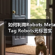 如何利用Robots Meta Tag Robots元标签实现页面抓取控制与禁止索引（图2）