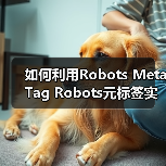 如何利用Robots Meta Tag Robots元标签实现页面抓取控制与禁止索引（图1）