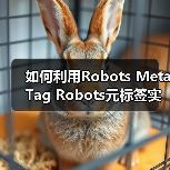 如何利用Robots Meta Tag Robots元标签实现页面抓取控制与禁止索引（图4）