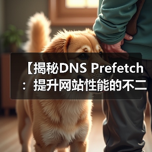 【揭秘DNS Prefetch：提升网站性能的不二法门】（图3）