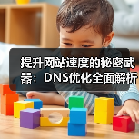 提升网站速度的秘密武器：DNS优化全面解析（图2）