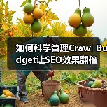 如何科学管理Crawl Budget让SEO效果翻倍（图4）
