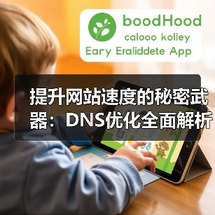 提升网站速度的秘密武器：DNS优化全面解析（图1）