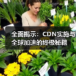全面揭示：CDN实施与全球加速的终极秘籍（图3）