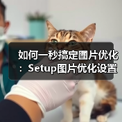 如何一秒搞定图片优化：Setup图片优化设置全攻略（图4）