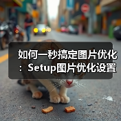 如何一秒搞定图片优化：Setup图片优化设置全攻略（图3）