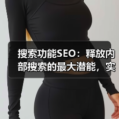 搜索功能SEO：释放内部搜索的最大潜能，实现结果优化的秘密武器（图3）