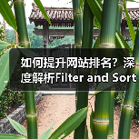 如何提升网站排名？深度解析Filter and Sort SEO 筛选排序SEO策略的实战技巧（图4）