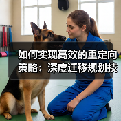 如何实现高效的重定向策略：深度迁移规划技巧揭秘（图3）