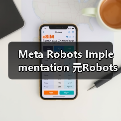 Meta Robots Implementation 元Robots实施页面级控制：零基础入门到高级实战指南（图3）