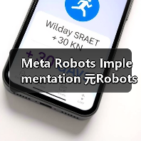 Meta Robots Implementation 元Robots实施页面级控制：零基础入门到高级实战指南（图2）