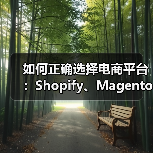 如何正确选择电商平台：Shopify、Magento 还是 WooCommerce？（图2）