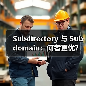 Subdirectory 与 Subdomain：何者更优？深度解析国际结构与权重分配（图3）