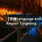 【掌握Language and Region Targeting：内容精准匹配的制胜法宝】（图4）