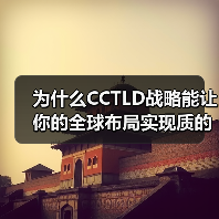 为什么CCTLD战略能让你的全球布局实现质的飞跃？（图1）