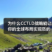 为什么CCTLD战略能让你的全球布局实现质的飞跃？（图2）