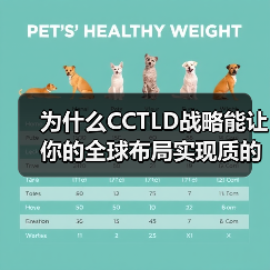 为什么CCTLD战略能让你的全球布局实现质的飞跃？（图3）