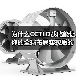 为什么CCTLD战略能让你的全球布局实现质的飞跃？（图4）