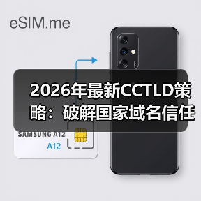 2026年最新CCTLD策略：破解国家域名信任密码的秘密（图3）