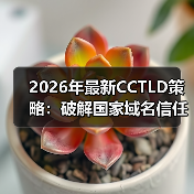 2026年最新CCTLD策略：破解国家域名信任密码的秘密（图4）