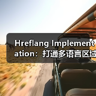 Hreflang Implementation：打通多语言区域的精准通路（图1）