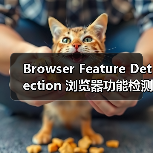 Browser Feature Detection 浏览器功能检测：渐进增强与兼容处理的秘密武器（图3）