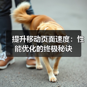 提升移动页面速度：性能优化的终极秘诀（图2）