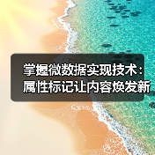 掌握微数据实现技术：属性标记让内容焕发新生命（图4）