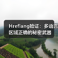 Hreflang验证：多语言区域正确的秘密武器（图2）