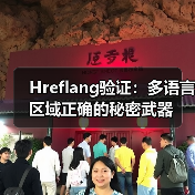 Hreflang验证：多语言区域正确的秘密武器（图4）