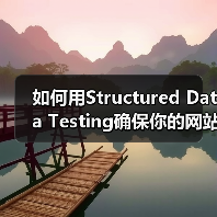 如何用Structured Data Testing确保你的网站Schema验证无误（图3）