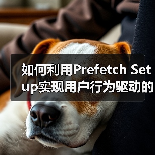 如何利用Prefetch Setup实现用户行为驱动的预测性加载（图4）