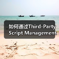 如何通过Third-Party Script Management实现高效网站优化（图3）