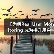 【为何Real User Monitoring 成为提升用户体验的秘密武器？】（图1）