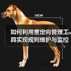 如何利用重定向管理工具实现规则维护与监控的完美结合（图1）
