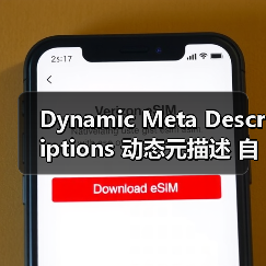 Dynamic Meta Descriptions 动态元描述 自动生成 吸引点击（图1）