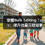 掌握Bulk Editing Tools：提升批量元数据更新的效率秘密（图2）