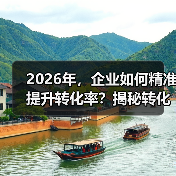 2026年，企业如何精准提升转化率？揭秘转化跟踪设置的秘密（图3）