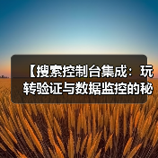 【搜索控制台集成：玩转验证与数据监控的秘密武器】（图4）